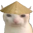 ChingMeow