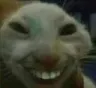 E_lol