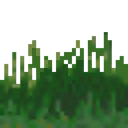 Tallgrass