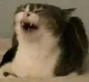 screm