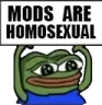 ModsRgay
