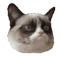Grumpycat Grumpycat Discord Emoji