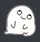 Noot