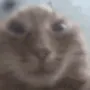 smokey