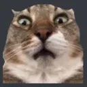 Terrance