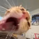 angry