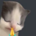 prayingforyourballsbro