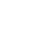 5white