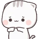cat_shy_cute