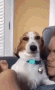 evil_dog Discord emoji