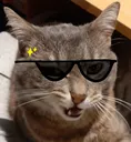 Moon_Sunglasses
