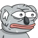 koalaS