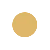 PaytoWin