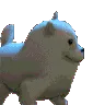 dancingdog