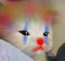 Clown Cat clown_cat Discord Emoji