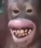 bruvPan