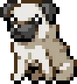 pug