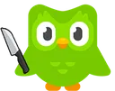 duolingoknife