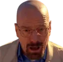 waltshocked