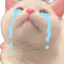 Cat_Cri Discord emoji