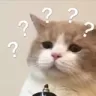 Huh