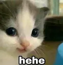 heheg