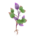 RP_magicherb Discord emoji