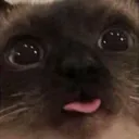 blep