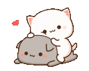 kittycouple