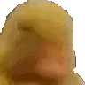 smhduckie