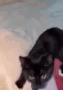 KyoJumpscare