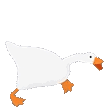 2_goose2