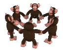 2_monkeyspin