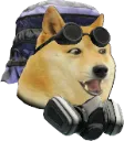 dogpog dogpog