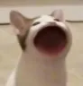 LoL