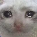 sadcat Discord Emoji