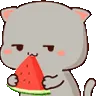 nyaaSuika