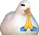 PRAY