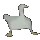 Goose