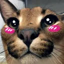 kawaiifloppa
