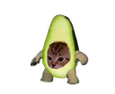 abacat Discord emoji