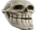trollskull