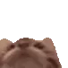 CatTasty