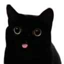 blep