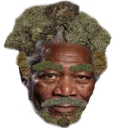 morganweedman morganweedman