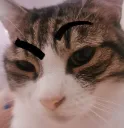 NinaEyebrows