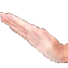 PatPat