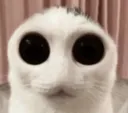 cet cet