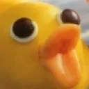 wowduck