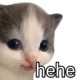 z_nadiahehe Discord emoji